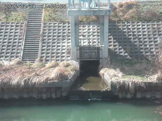 大路川２2026/02/25 02:20