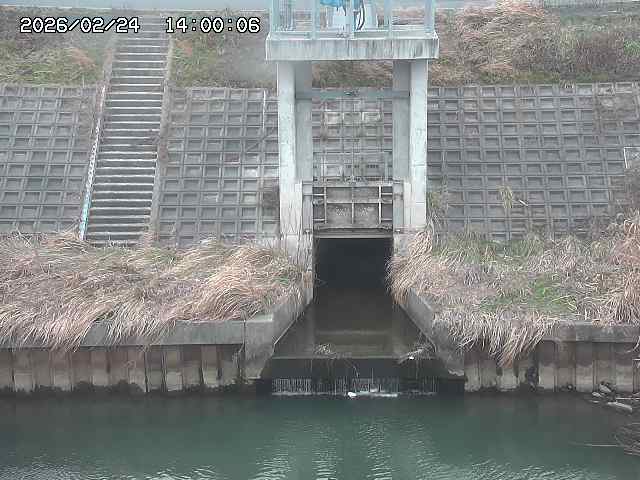 大路川２2026/02/25 02:20