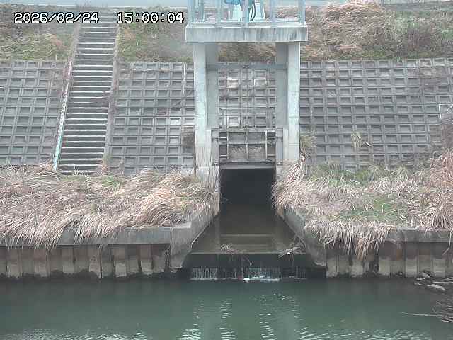 大路川２2026/02/25 02:20