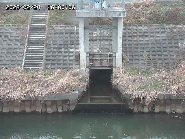 大路川２2026/02/25 02:20