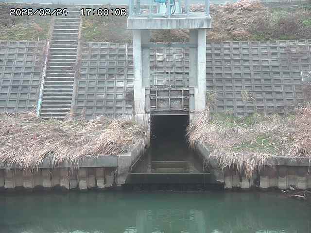 大路川２2026/02/25 02:20