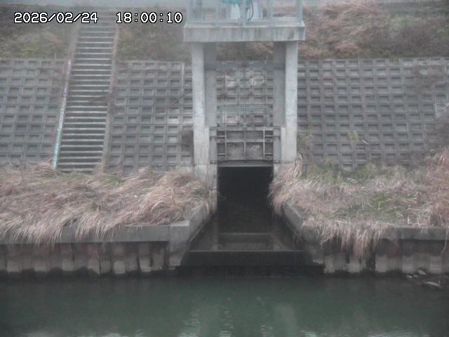 大路川２2026/02/25 02:20