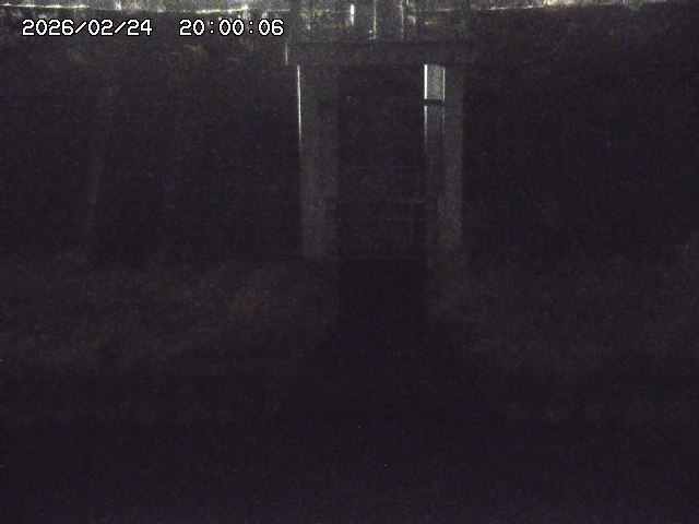 大路川２2026/02/25 02:20