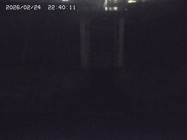 大路川２2026/02/25 02:20