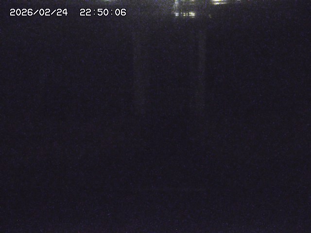 大路川２2026/02/25 02:20