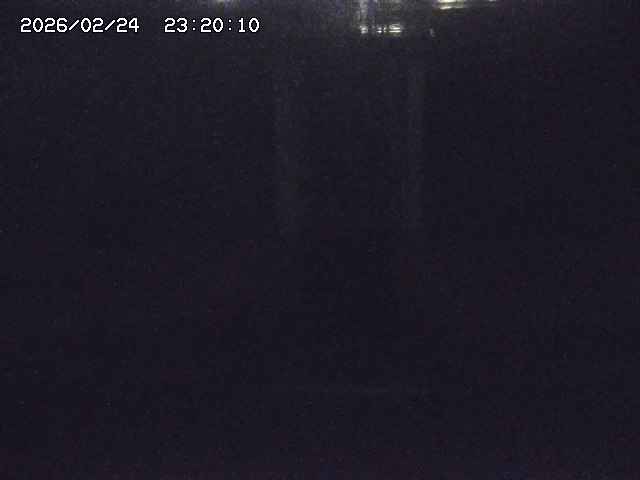 大路川２2026/02/25 02:20