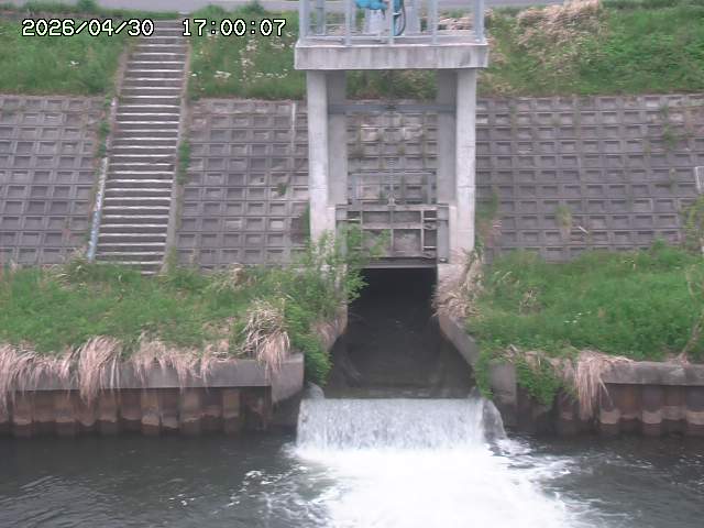 大路川２2026/05/01 16:50