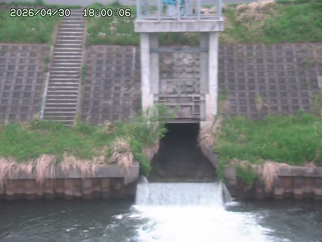 大路川２2026/05/01 16:50