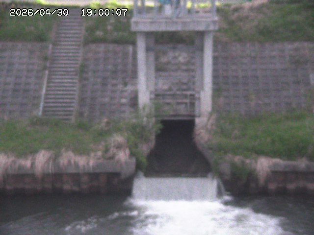 大路川２2026/05/01 16:50