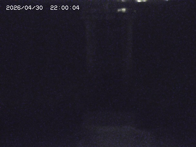大路川２2026/05/01 16:50