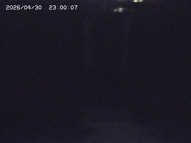 大路川２2026/05/01 16:50