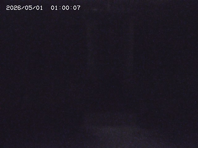 大路川２2026/05/01 16:50