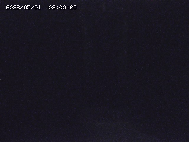 大路川２2026/05/01 16:50