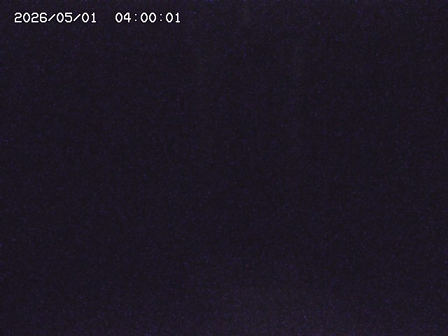大路川２2026/05/01 16:50