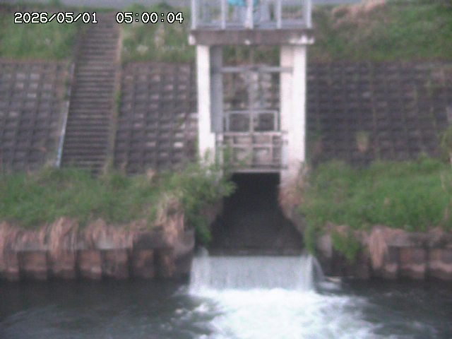 大路川２2026/05/01 16:50