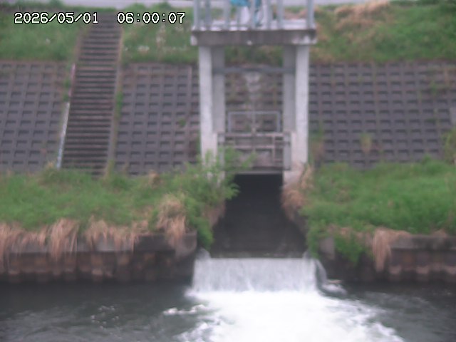 大路川２2026/05/01 16:50