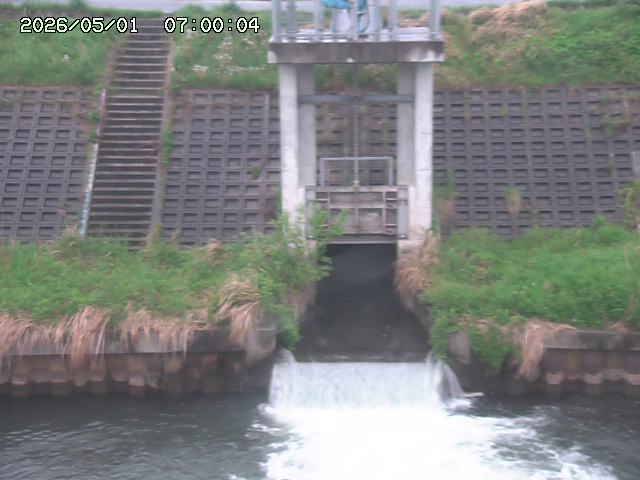 大路川２2026/05/01 16:50
