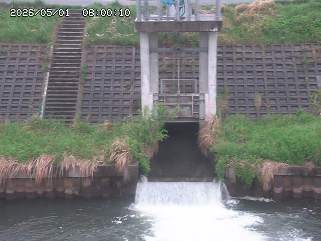 大路川２2026/05/01 16:50