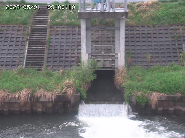大路川２2026/05/01 16:50
