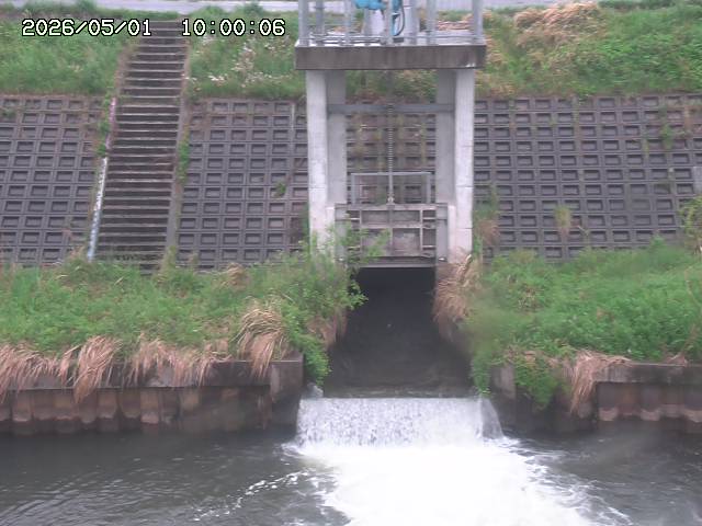大路川２2026/05/01 16:50