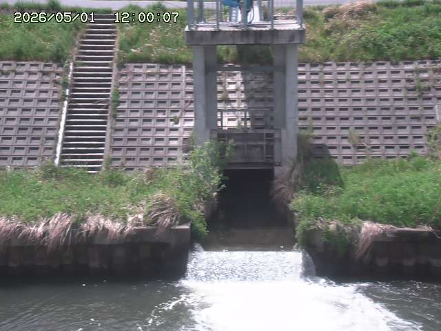 大路川２2026/05/01 16:50