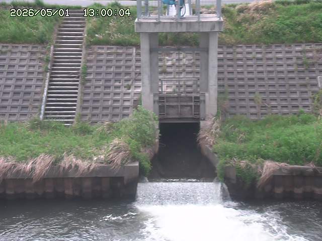 大路川２2026/05/01 16:50
