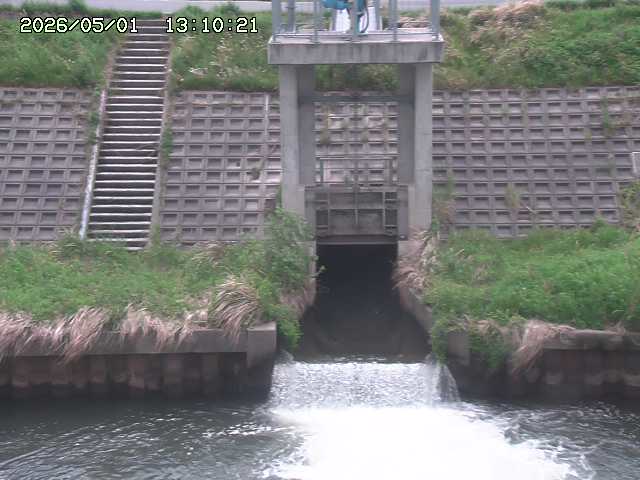 大路川２2026/05/01 16:50