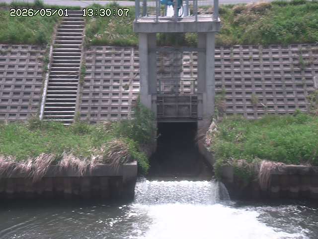 大路川２2026/05/01 16:50