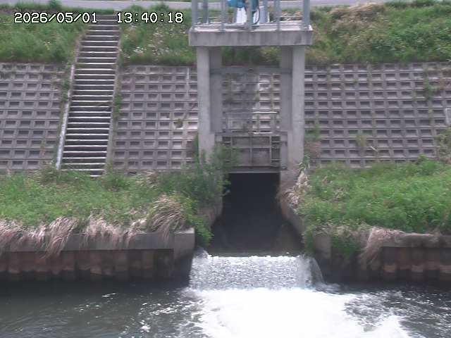 大路川２2026/05/01 16:50