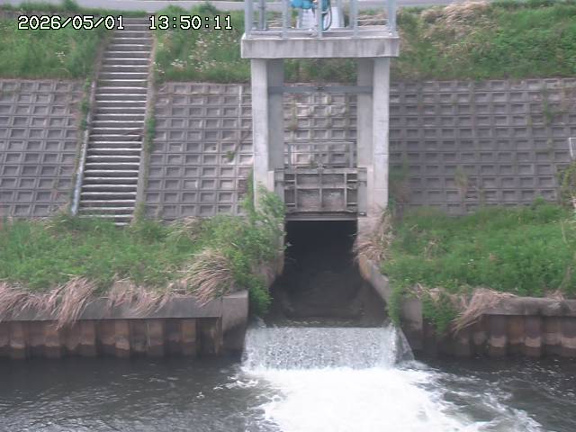 大路川２2026/05/01 16:50