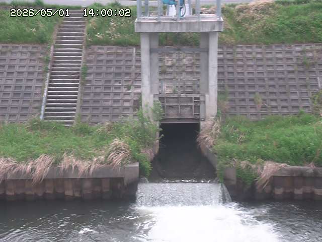 大路川２2026/05/01 16:50