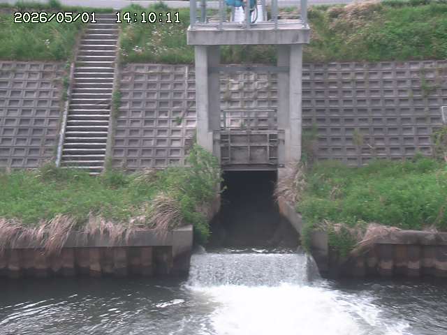 大路川２2026/05/01 16:50