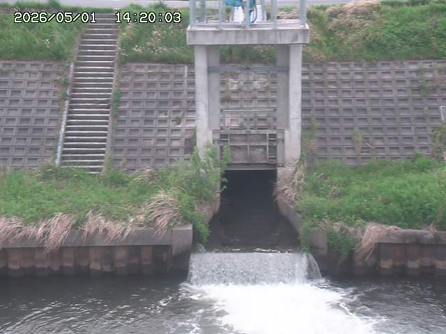 大路川２2026/05/01 16:50