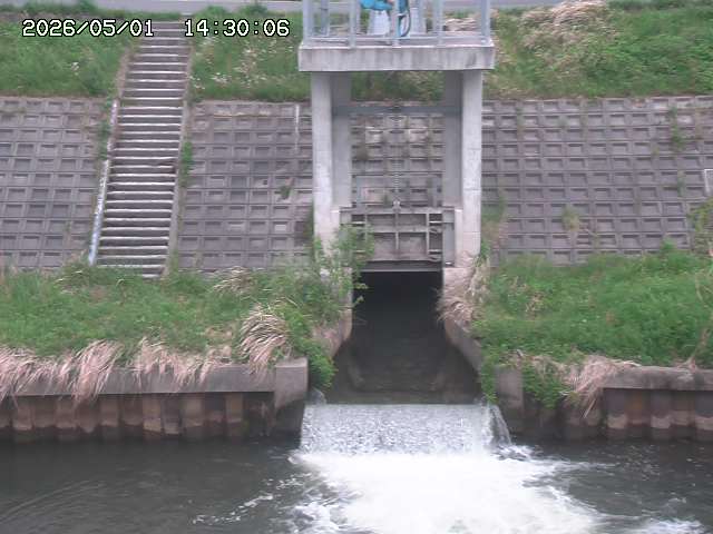 大路川２2026/05/01 16:50