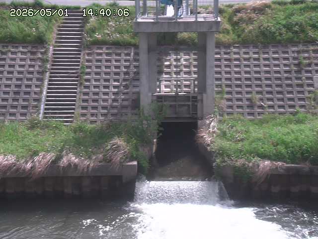 大路川２2026/05/01 16:50
