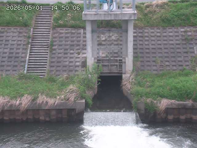 大路川２2026/05/01 16:50