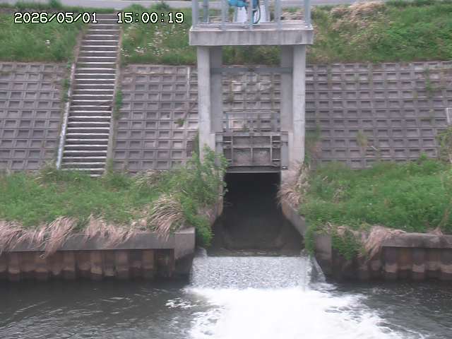 大路川２2026/05/01 16:50