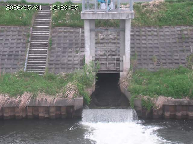 大路川２2026/05/01 16:50