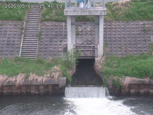 大路川２2026/05/01 16:50