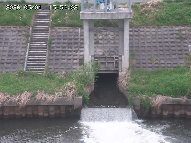 大路川２2026/05/01 16:50