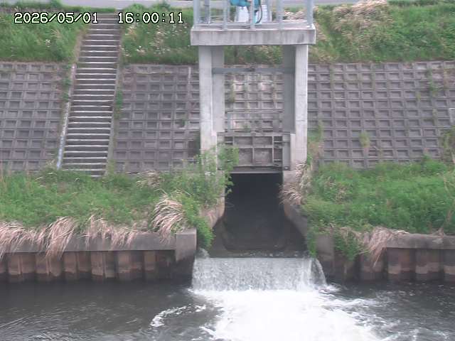 大路川２2026/05/01 16:50