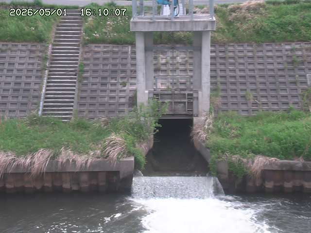 大路川２2026/05/01 16:50