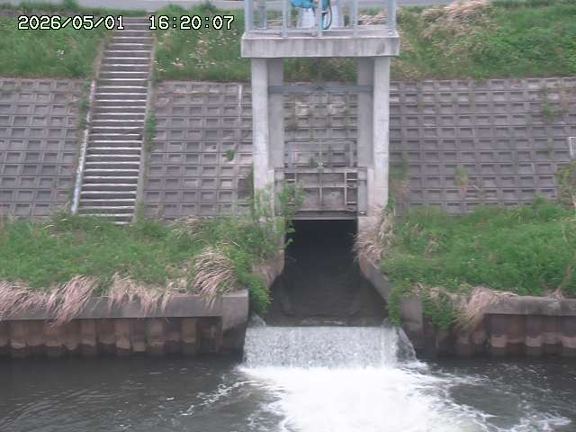 大路川２2026/05/01 16:50