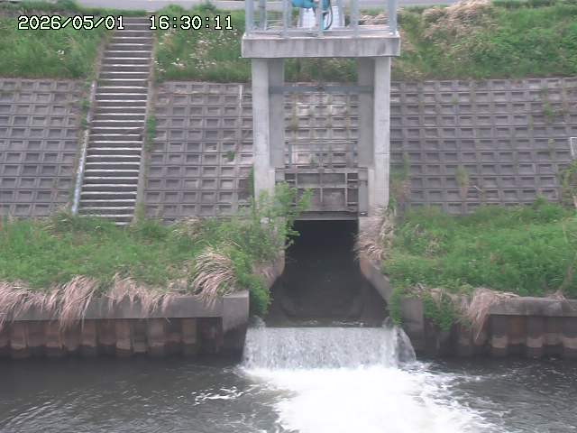 大路川２2026/05/01 16:50
