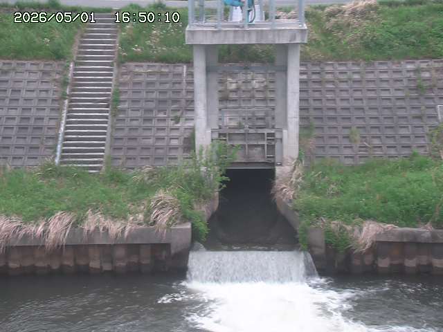 大路川２2026/05/01 16:50