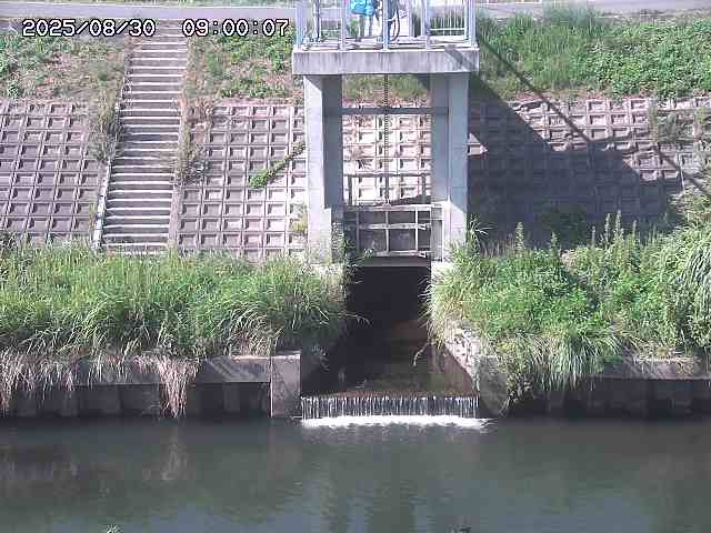 大路川２2025/08/31 09:00