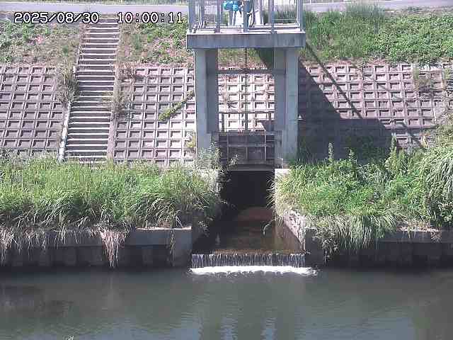 大路川２2025/08/31 09:00