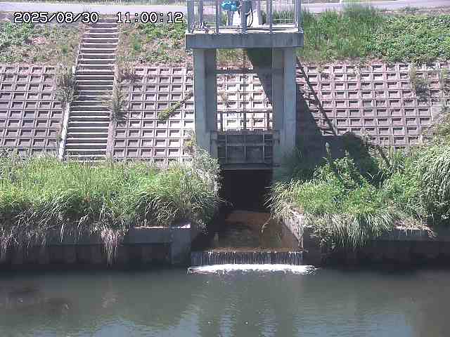 大路川２2025/08/31 09:00