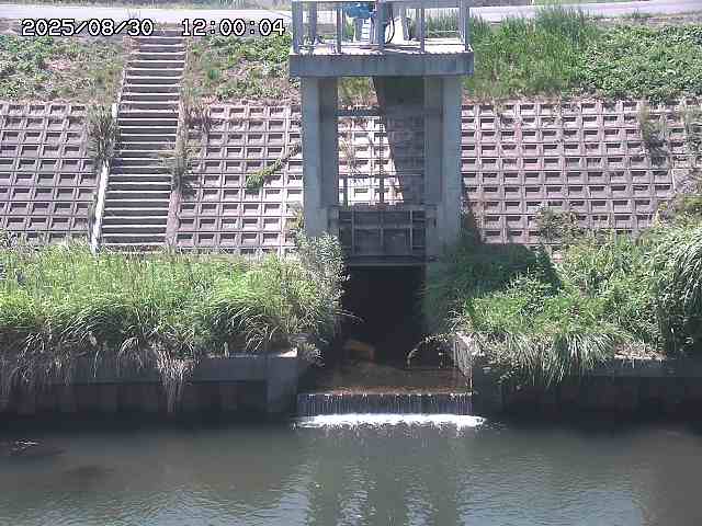 大路川２2025/08/31 09:00