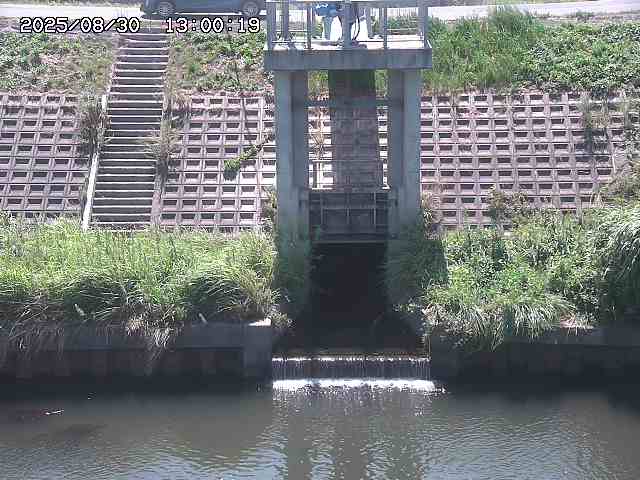 大路川２2025/08/31 09:00